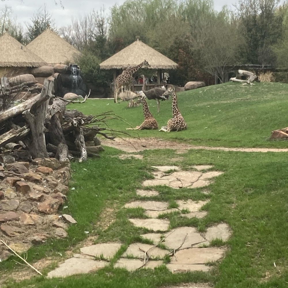 Meet your Posher, Dianap